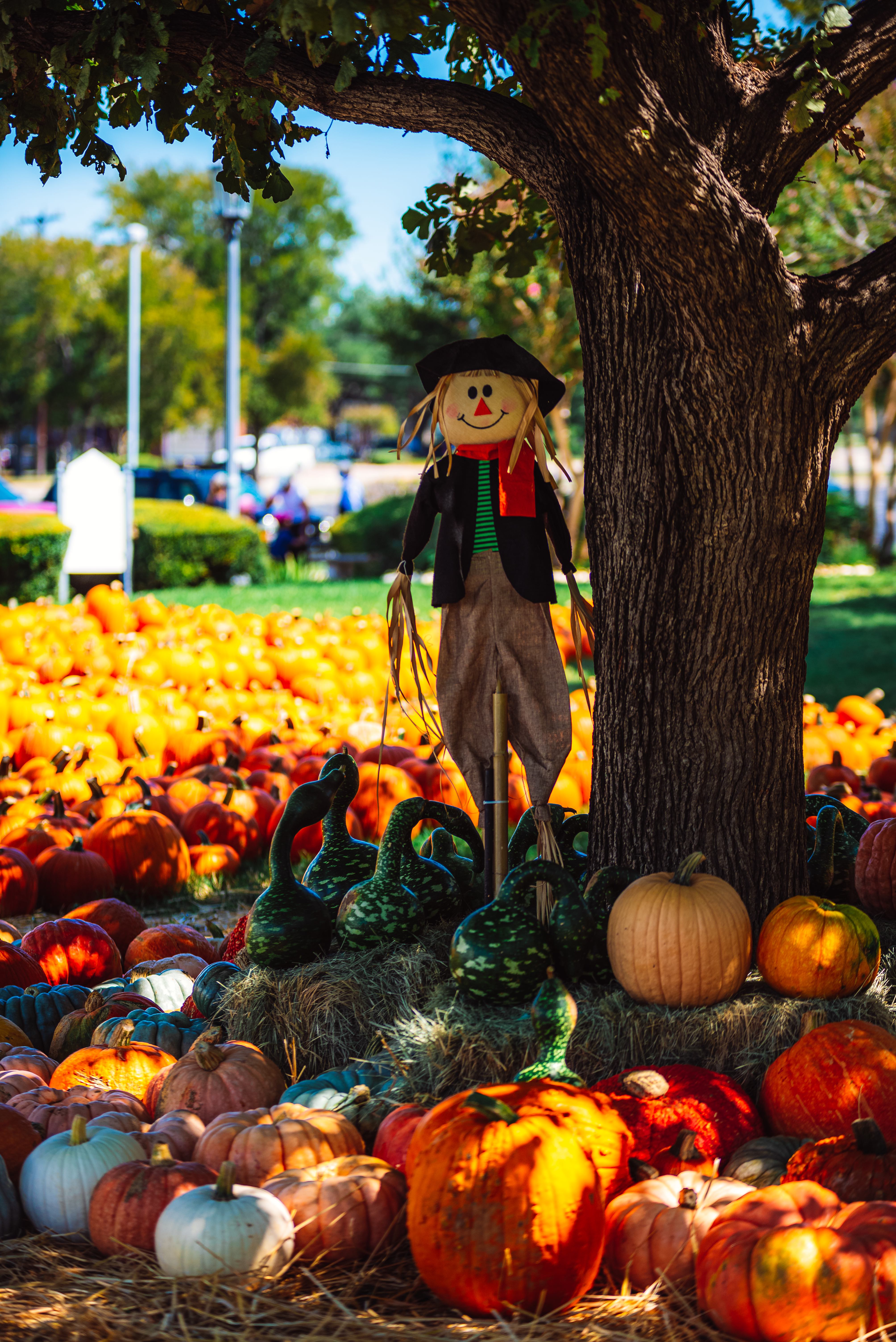 PP Arrival Day-16.jpg