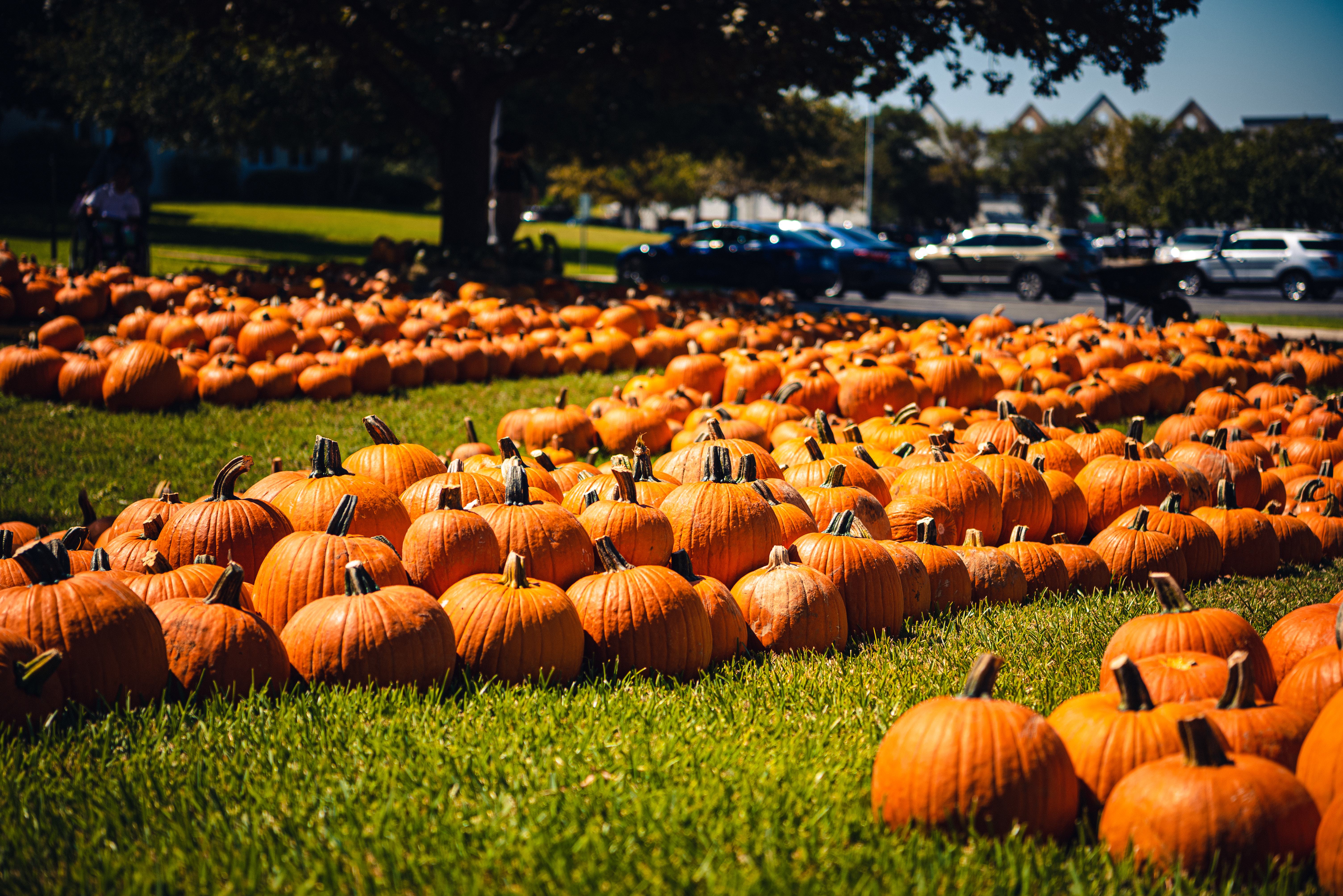 PP Arrival Day-6.jpg